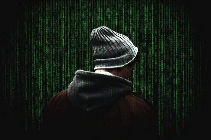 ataques ciberseguridad hackers botnets